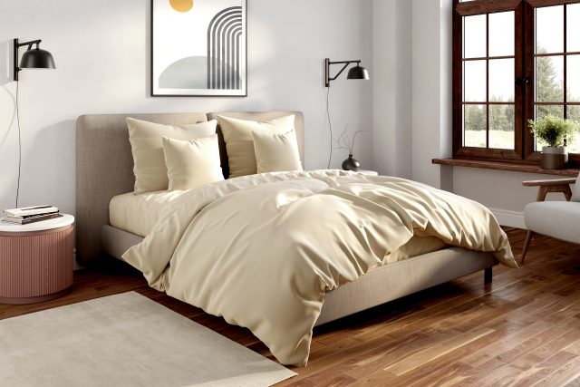 seznamte se s nanospace. rodinná firma z Česka dobývá svět nanotechnologií