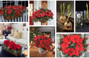 překrásné vánoční dekorace z květin, které neodmyslitelně patří k vánocům
