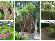 45+ fantastických nápadů na originální a bezplatnou zahradu z proutí