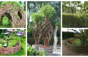 45+ fantastických nápadů na originální a bezplatnou zahradu z proutí