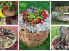 60+ jedinečných a kreativních nápadů na výrobu zahradního květináče z čehokoli