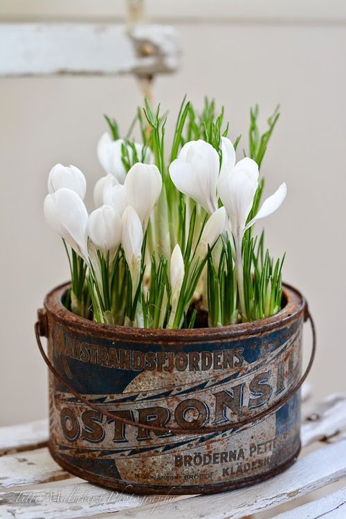 Proměňte staré kuchyňské náčiní v krásné dekorace a užijte si přicházející jaro. Jednoduché a levné!