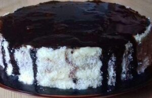 Kokosový dort plněný vanilkovým pudinkem s čokoládovou polevou