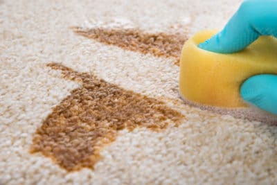 jak vyčistit špinavý koberec bez čisticích prostředků