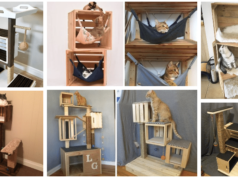 inspirace na originální pelíšek pro kočku: využijte například dřevěné přepravky či šuplík!
