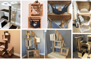 inspirace na originální pelíšek pro kočku: využijte například dřevěné přepravky či šuplík!