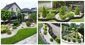 BeFunky collage 2022 02 03T174946.736