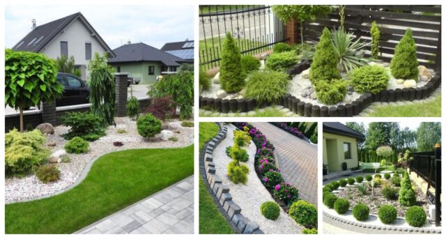 BeFunky collage 2022 02 03T174946.736