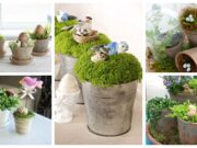 Využijte staré květináče a proměňte je v krásné dekorace na jarní měsíce BeFunky collage 2022 02 05T113832.311