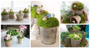 BeFunky collage 2022 02 05T113832.311