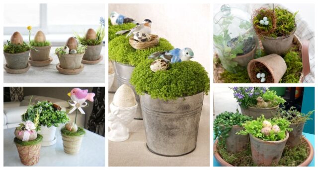 BeFunky collage 2022 02 05T113832.311