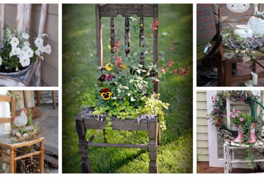 Proměňte starou židli v krásnou dekoraci na jarní měsíce – 20+ nápadů BeFunky collage 2022 02 07T162233.226