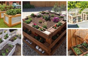 prohlédněte si kreativní způsoby na pěstování zeleniny a ovoce v zahradě
