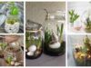 stačí vám prázdná skleněná nádoba nebo zavařovací sklenice – nápady na jaro