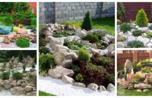 vytvořte si krásné kamenné ostrůvky, které zkrášlí vaší zahradu