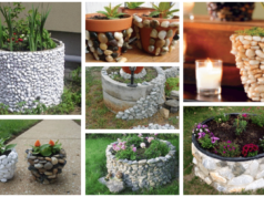 využijte obyčejné kameny ke zkrášlení betonové zídky či květináče – inspirujte se!