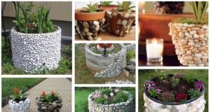 Využijte obyčejné kameny ke zkrášlení betonové zídky či květináče – Inspirujte se! využijte obyčejné kameny ke zkrášlení betonové zídky či květináče – inspirujte se!