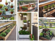 zkrášlete si balkon květinami! – 20 originálních inspirací, jak na to