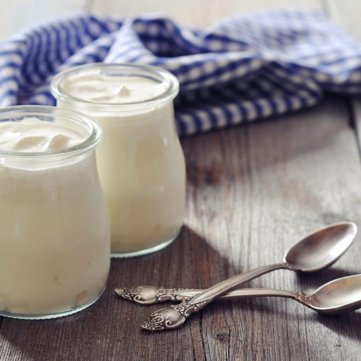 hustý domácí bílý jogurt
