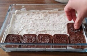 sušenkový dort s vynikajícím krémem a čokoládovou polevou – rychle připravené