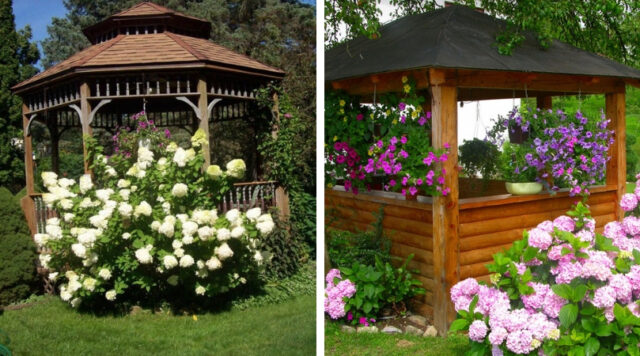 Návrh květinové zahrady u pergoly: 50 nápadů na terénní úpravy Návrh květinové zahrady u pergoly: 50 nápadů na terénní úpravy