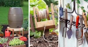 53 tajemství zkušených zahrádkářů, která vám usnadní práci na pozemku. 53 tajemství zkušených zahrádkářů, která vám usnadní práci na pozemku.