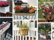 inspirace na květinové zkrášlení balkonu a terasy: 20+ skvělých inspirací!