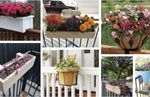inspirace na květinové zkrášlení balkonu a terasy: 20+ skvělých inspirací!