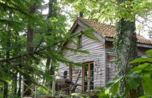 Rustikální chata obklopená břízami, jasany a duby
