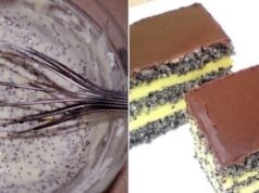 recept na luxusní makové řezy s lahodným vanilkovým krémem!