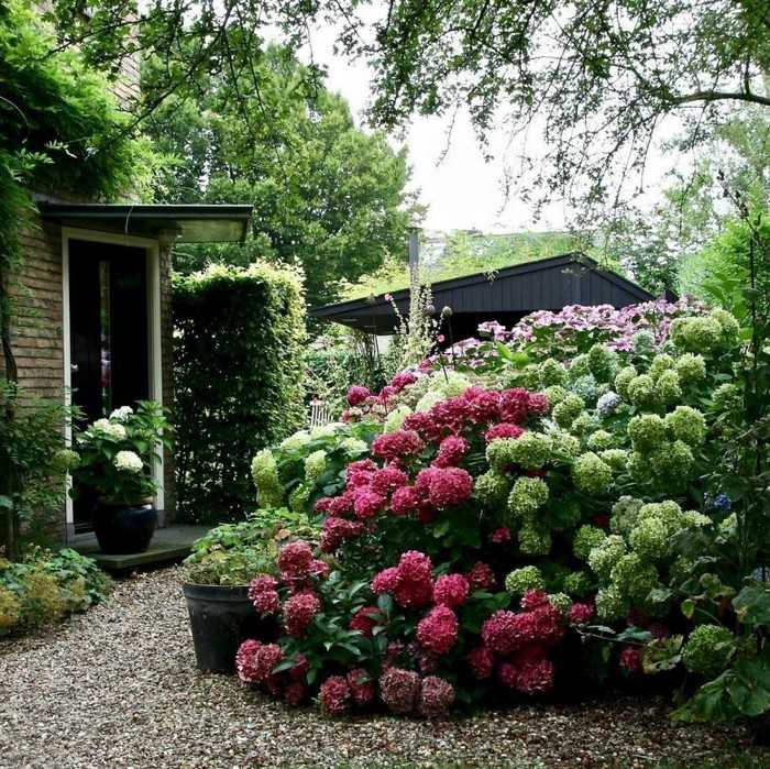 Design zahrady u domu: 53 malebných možností
