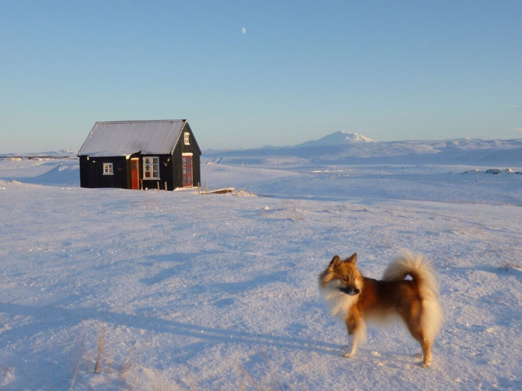 Malá islandská chata pod polární září