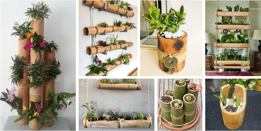 bambusová tyč, jako skvělý květináč do domácnosti a na zahradu – inspirujte se!