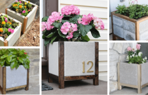 zaujmou každou vaší návštěvu: 20+ krásných a originálních dřevo-betonových květináčů!