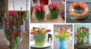 pohádkové dekorace z tulipánů: vykouzlete si jeden z těchto krásných výtvorů!