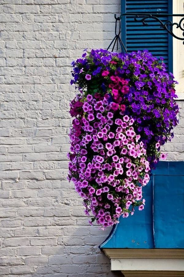 Malebné terasy inspirované visutými zahradami: 40 originálních inspirací