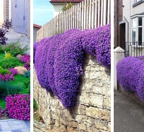 Malebné terasy inspirované visutými zahradami: 40 originálních inspirací