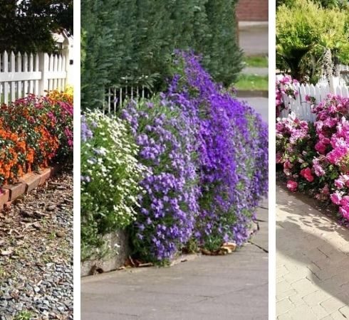 Malebné terasy inspirované visutými zahradami: 40 originálních inspirací