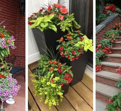 Malebné terasy inspirované visutými zahradami: 40 originálních inspirací