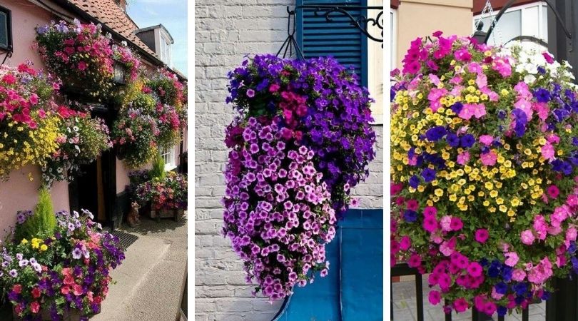 Malebné terasy inspirované visutými zahradami: 40 originálních inspirací