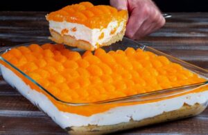 nepečený piškotový dort s mandarinkami a luxusním krémem!