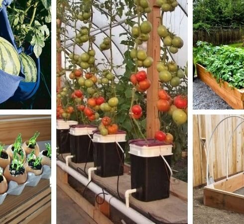 Jednoduchý zahradní nábytek z palet: 45 nápadů pro vlastní ruce