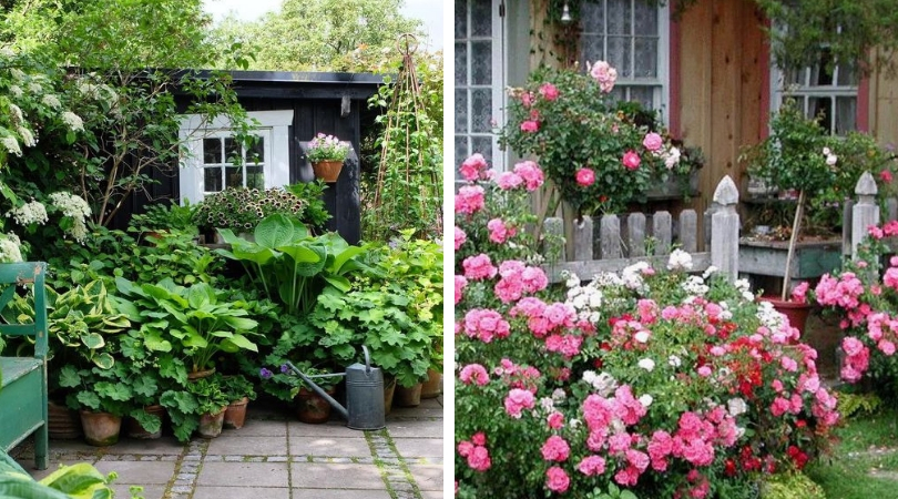 Jak ozelenit zahradu a proměnit ji v ráj?