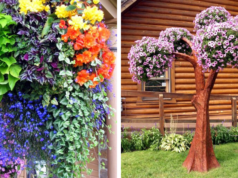 Závěsné záhony na zahradě: 40 barevných nápadů pro novou sezónu