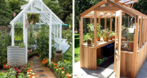 Skleník snů pro květiny, zeleninu a klíčky: 47 skvělých nápadů pro venkov Skleník snů pro květiny, zeleninu a klíčky: 47 skvělých nápadů pro venkov