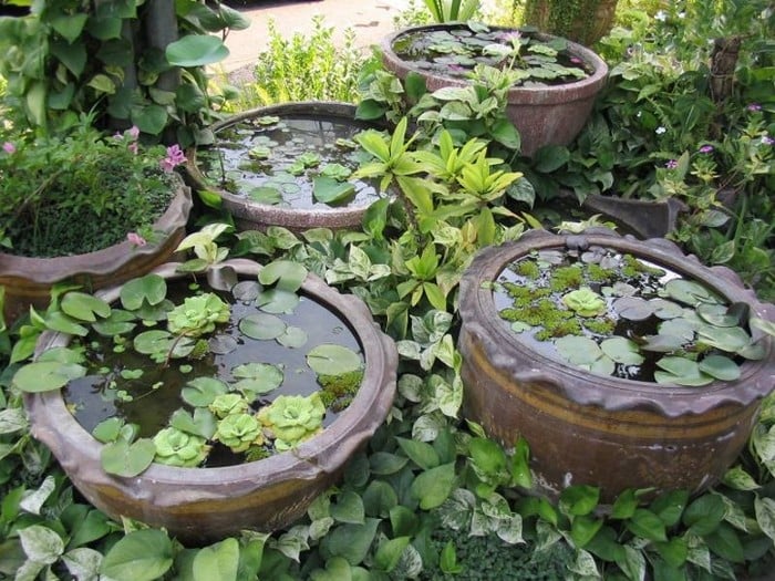 55 úžasných miniaturních zahradních jezírek, která si zamilujete