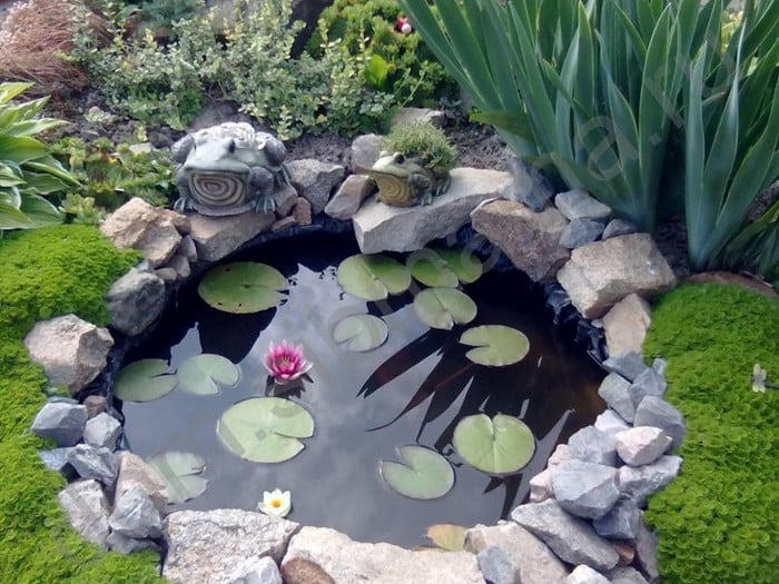 55 úžasných miniaturních zahradních jezírek, která si zamilujete