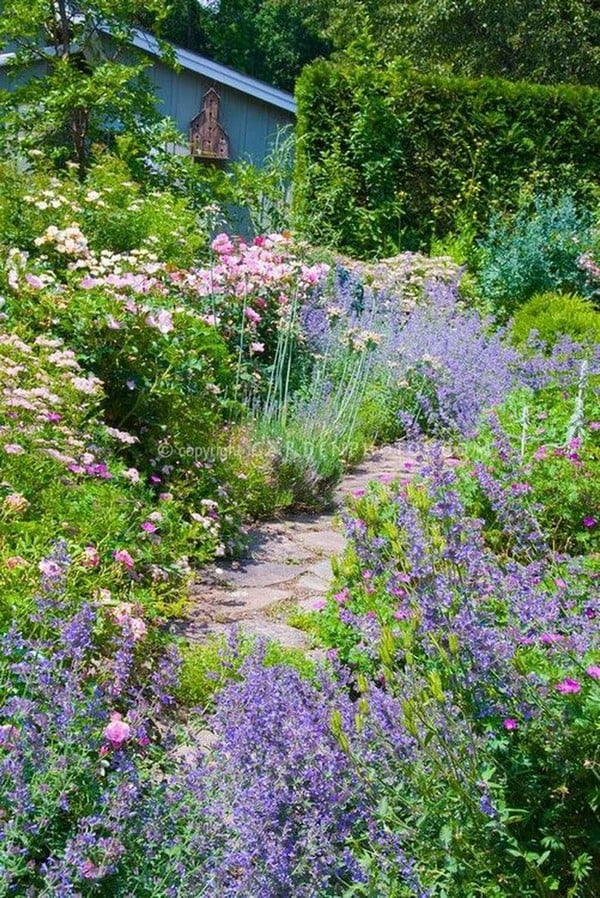 50 pestrých nápadů na květinovou zahradu vlastníma rukama