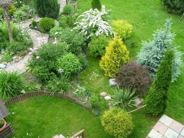 Jak založit okrasnou zahradu z jehličnanů: 40 krásných nápadů