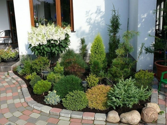 Jak založit okrasnou zahradu z jehličnanů: 40 krásných nápadů